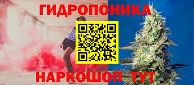 Альфа ПВП Донецк