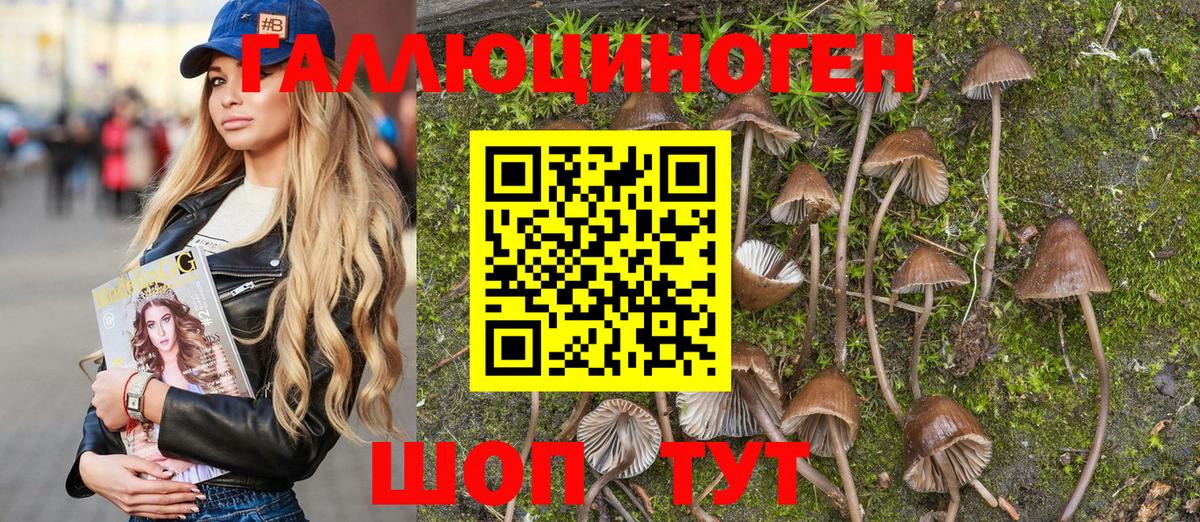 Псилоцибиновые грибы GOLDEN TEACHER  Вход с VPN  Галлюциногенные грибы Psilocybine cubensis  Междуреченск 
